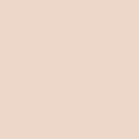 Paese Clair Concealer