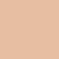 Paese Run For Cover Full Cover Concealer 9 ml