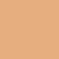 Paese Run For Cover Full Cover Concealer 9 ml