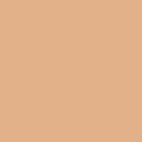 Paese Run For Cover Full Cover Concealer 9 ml