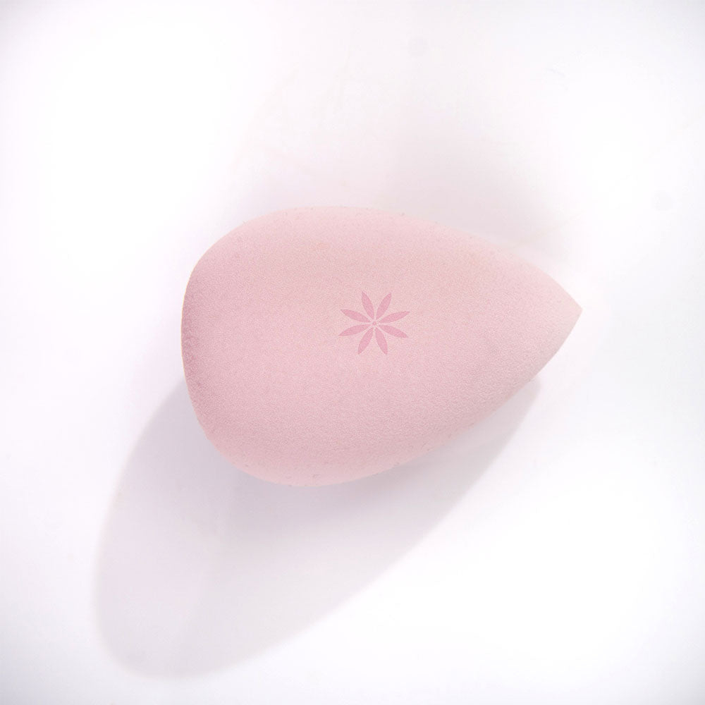 Brushworks HD Complexion Sponge