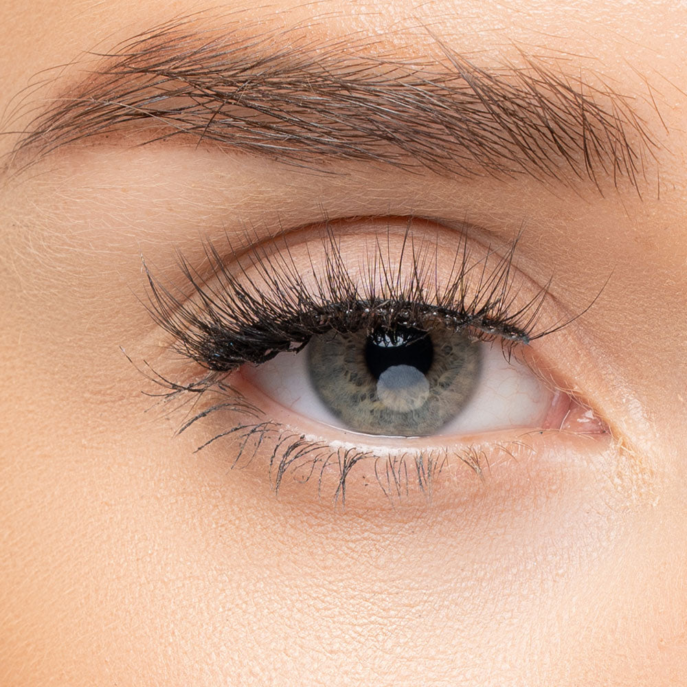 Eye Candy Signature Lash Collection Leah