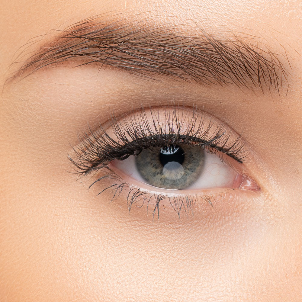 Eye Candy Signature Lash Collection –Lola