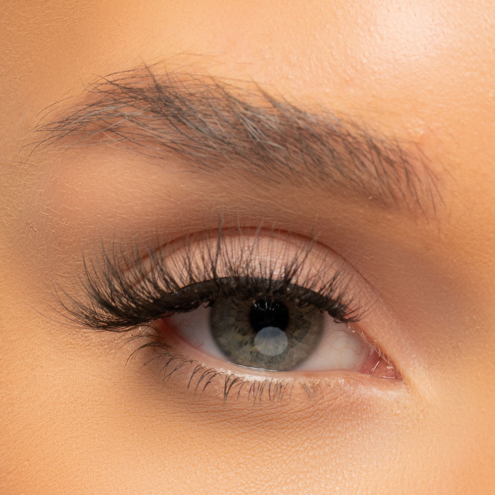 Eye Candy Signature Lash Collection  Posy 2 Pack